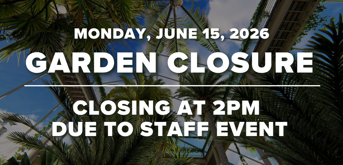 early-closing-got-1