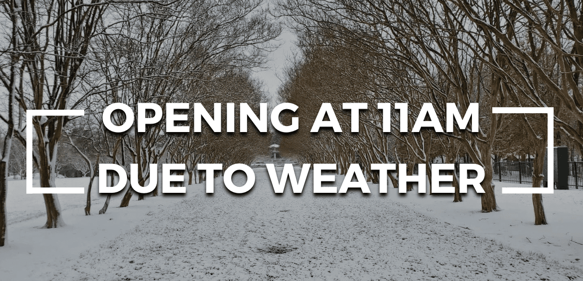 winter-storm-updates