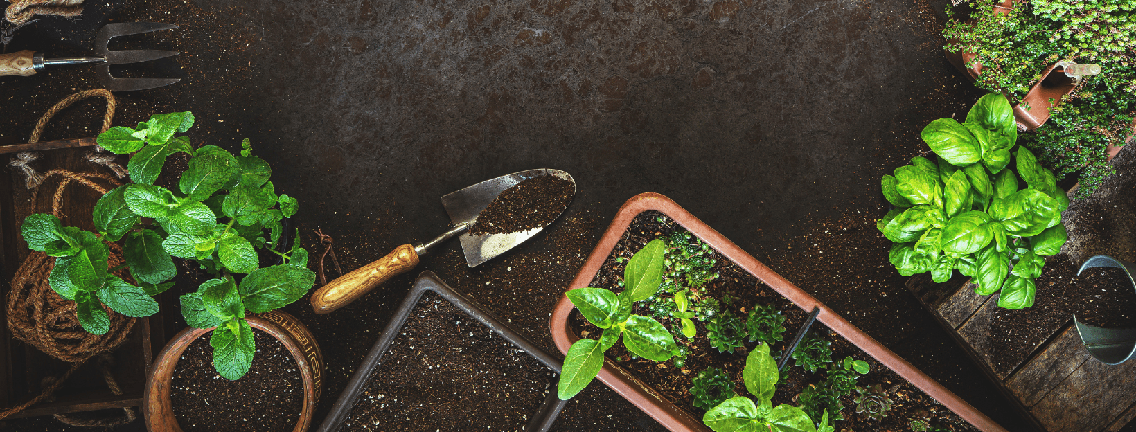 gardening-