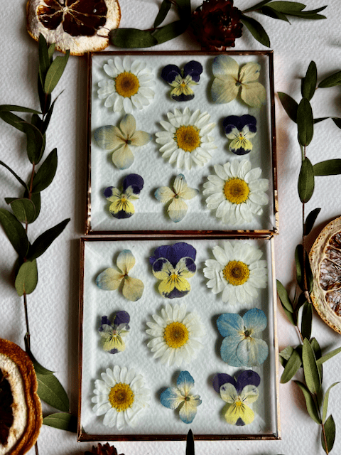 Pressed Flower Coaster Workshop