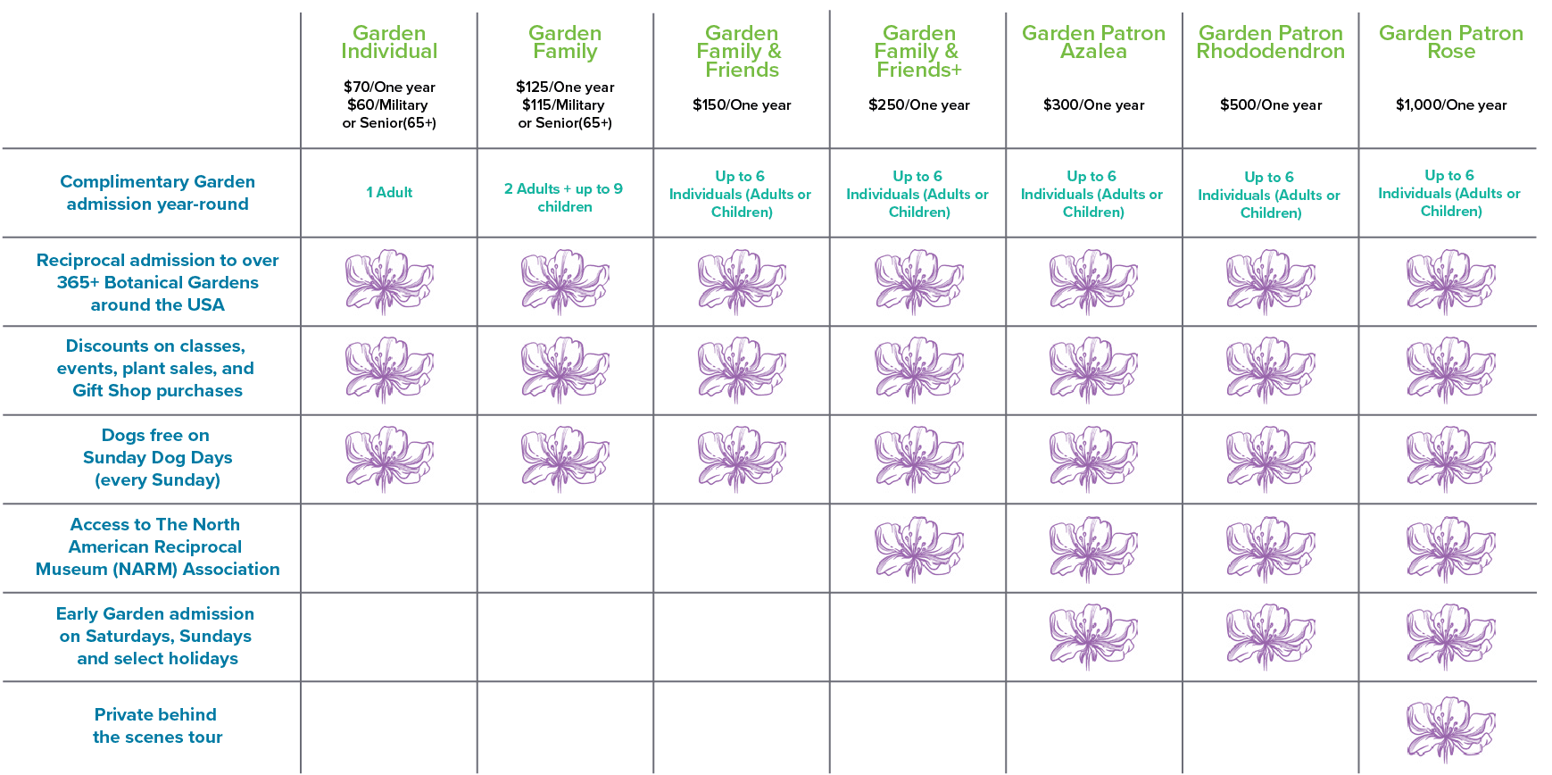 visitor-services-chart-final