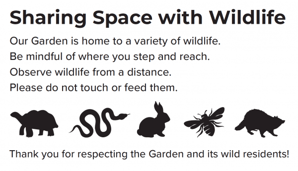 wildlife-2025