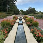 SOLD OUT Perennial Garden Walk & Talk