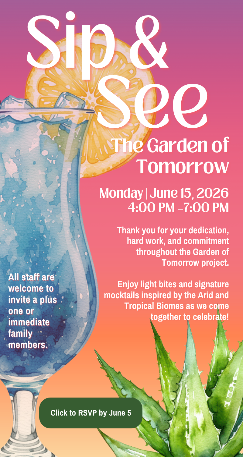 invitation