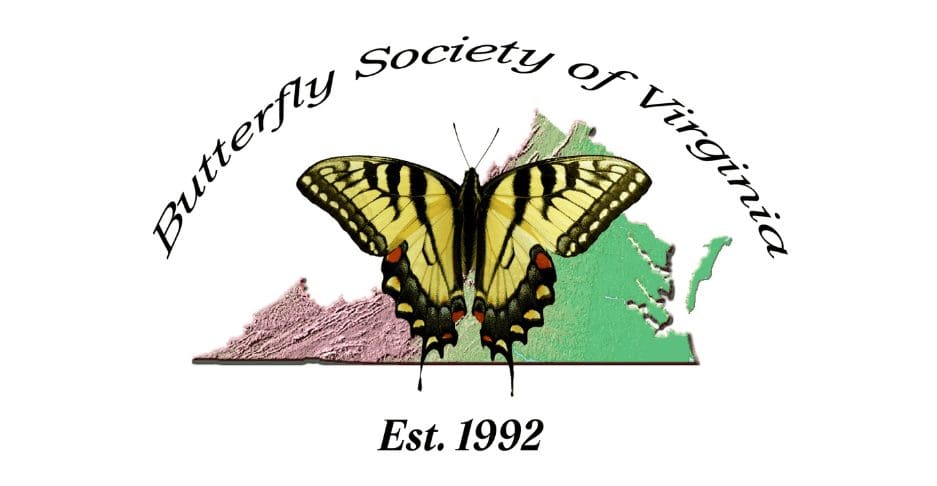 Logo of Butterfly Society of Virginia