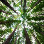 Blackwater Ecological Preserve Field Trip
