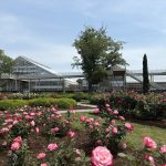 Garden of Tomorrow Opening Festival