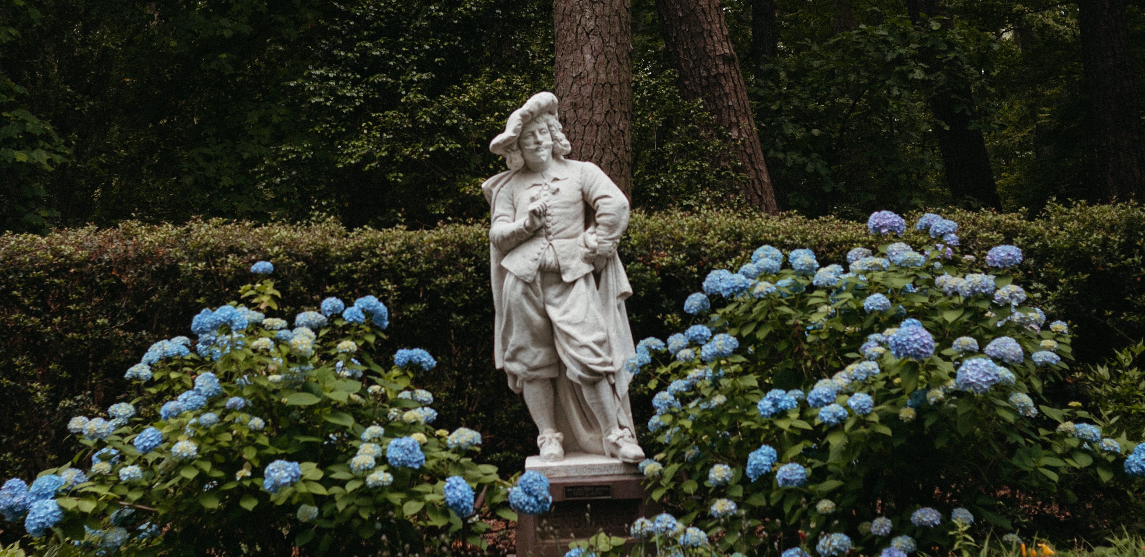 sculpture of famous artist Rembrandt van Rijn with blue hydrangeas surrounding